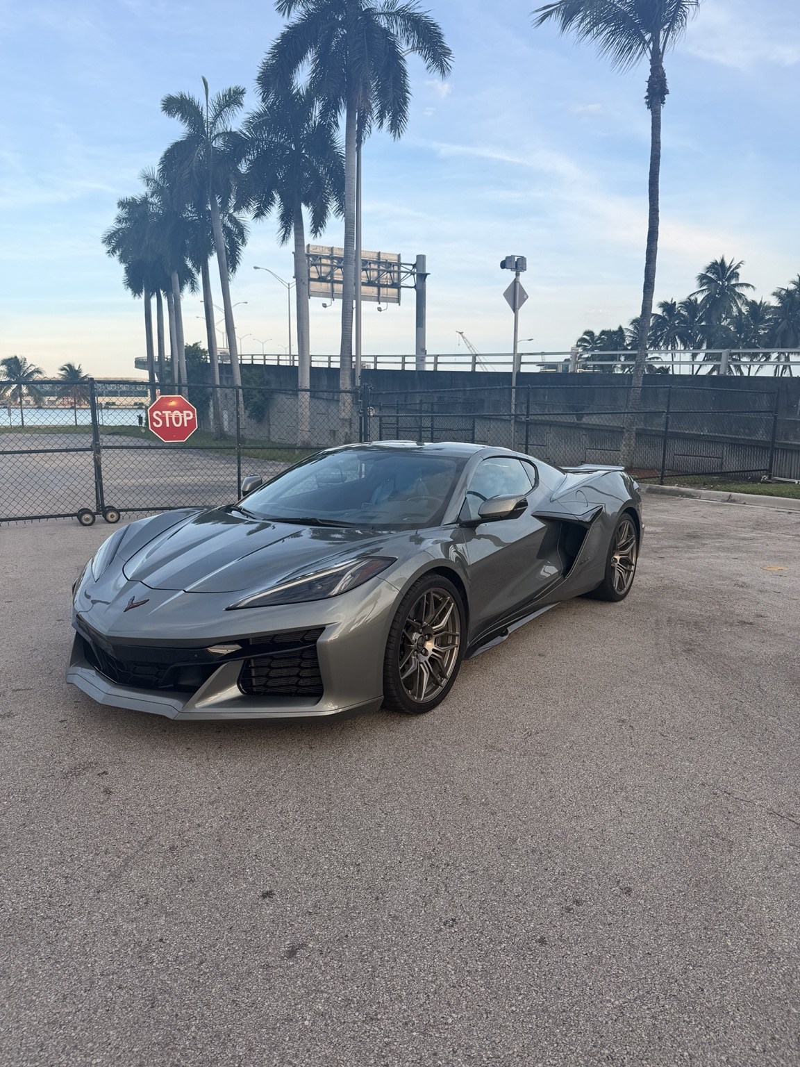 Gray Corvette Z06 front view beneath palm trees