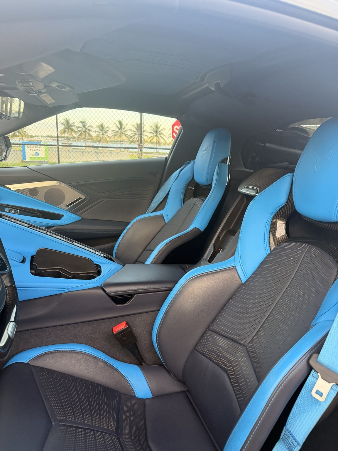 Blue and navy carbon bucket seats